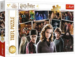 Puzzle Hermine Harry Potter Zaubererwelt Trefl 160 Elemente