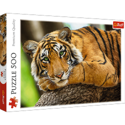 Trefl 37397 Puzzle 500 Portrait eines Tigers