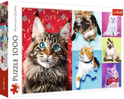 Trefl Puzzle 1000 Elemente Fröhliche Katzen